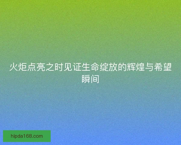 火炬点亮之时见证生命绽放的辉煌与希望瞬间
